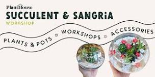 Succulent & Sangria Workshop