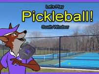 Pickleball at Rye Street Park! 