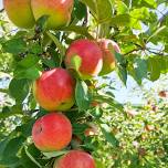 Growing a Healthy Home Orchard by Leslie Holland — Dodge County Master Gardener Association