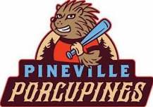 Pineville Porcupines Autism Awareness Night: Princesses & Superheroes