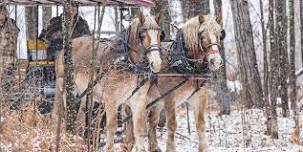 Winter Horse Drawn Rides