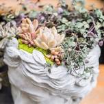 Succulent Container Make & Take Workshop - July 6, 11:00-1:30