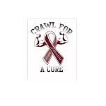 Crawl For A Cure 2024