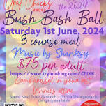 Bush Bash Ball 2024