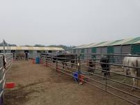 Livestock Shelter Set Up, Intake & Biosecurity