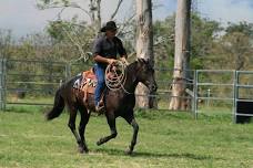 2 Day Horsemanship Weekend - Winchelsea, VIC