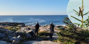 Schoodic Spring Birding Adventure