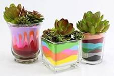 Succulent Sand Terrarium