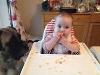    BABY WEANING WORKSHOP - FUNDED   