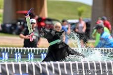 DockDogs® at Cats Incredible Catfish Tournament | WCDH