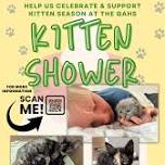 Kitten Shower