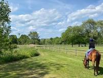 Ride on the beautiful Muttontown  trails