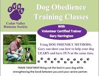 2nd Session Dog Obedience Classes