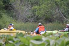 GREAT paddle - south branch of the Kalamazoo River (Goose Lake Rd to Folks Rd)