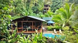 Couples Meditation Treehouse Retreat