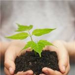 Master Gardener Volunteer Mobile Plant Clinic -St. George's Episcopal Church