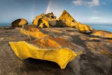 Kangaroo Island Photo Safari at Southern Ocean Lodge — Richard I'Anson Photography