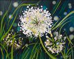 White Wildgrass Flowers