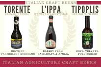 Italian Craft Beer Tasting