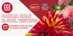 Dahlia Sale & Soil Testing