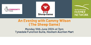 An Evening with The Sheep Game