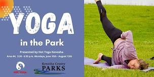 Yoga in the Park presented by Hot Yoga Kenosha