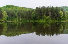 Kids' Fishing Derby at the Lamping Homestead Recreation Area