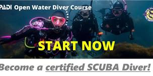 PADI Open Water Diver Course