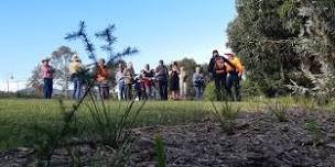 Community Planting Day in Korumburra !