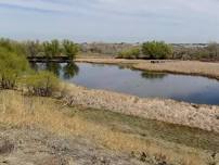 (Colorado) Black Girls Hike: Nature Walk at Bluff Lake Nature Center Loop.