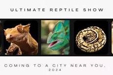 Ultimate Reptile Show : Countryside, IL