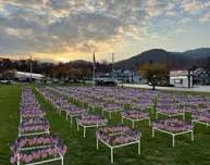 Field of Flags