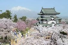 2-Day Cherry Blossom Tour from Tokyo: Hirosaki Park and Kakunodate Samurai District KKday