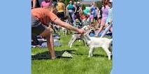 Goat Yoga | August 17