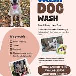 Man's Best Freind Dog Wash