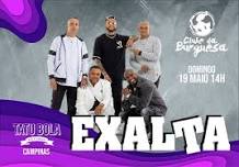 Exalta no Tatu Bola Campinas