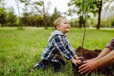 Peringa Park Planting Day