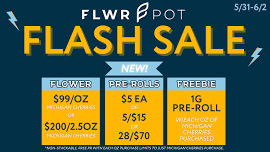 FLWRPOT FLASH SALE!