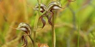 Gunbower Forest Ramsar Project Bus Tour