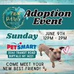 PetSmart Adoption Event - Buffalo