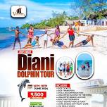 Diani Dolphin tour