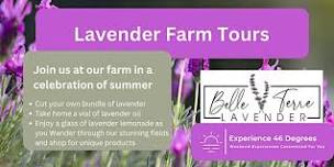 Lavender Farm Tours