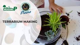  Terrarium Making