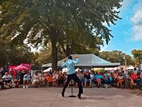 Concerts On The Lawn