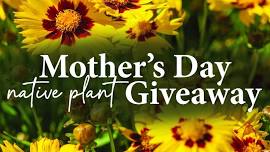 Mother's Day Native Plant Giveaway