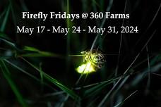 Firefly Fridays 2024