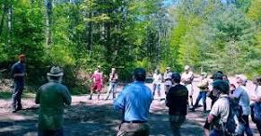 Bioblitz at the Brattleboro Watershed Forest