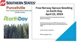 Earth Day - Free Norway Spruce seedling