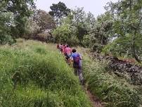 Wenderholm Regional Park & Waiwera Foreshore Walk