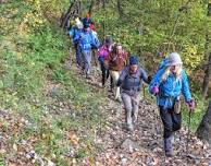 Discover Greylock Hikes @ Mount Greylock